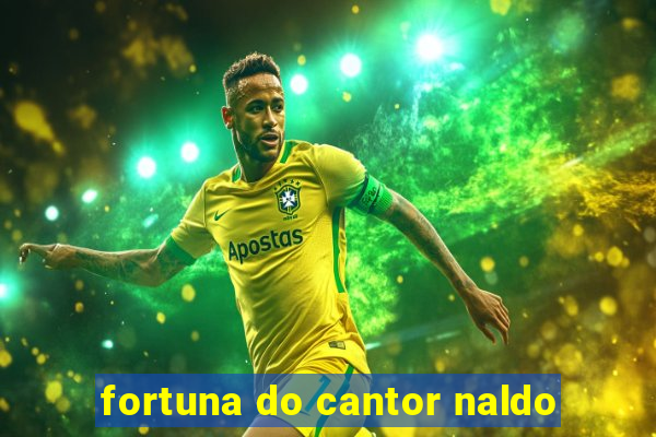 fortuna do cantor naldo